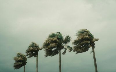 Solar Panels vs. Generators: Which is Better for Hurricane Preparedness?