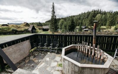 What To Check Before Moving Into A Home With Well Water